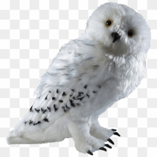 Plush Toys - Harry Potter Hedwig Plush, HD Png Download