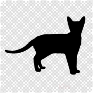 Cat, Dog, Drawing, Transparent Png Image Clipart Free - Transparent Hair Style Png, Png Download