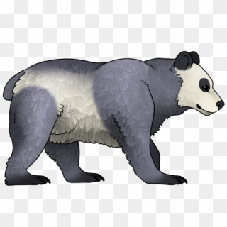 Panda, HD Png Download