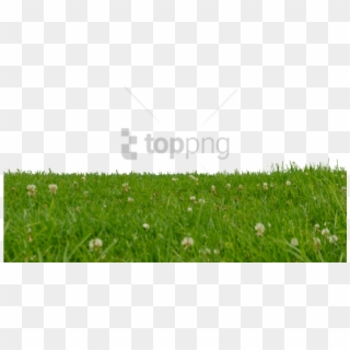 Farmland Png Png Image With Transparent Background - Lawn, Png Download