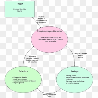 Negative Cycle Of Ptsd - Circle, HD Png Download