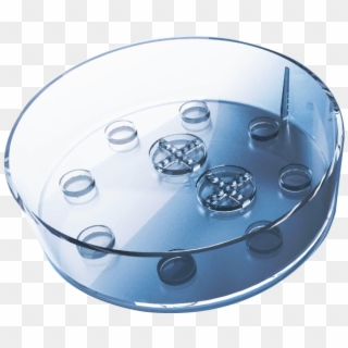 Embryo Corral® Dish - Gps Dishes, HD Png Download