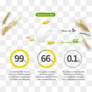 Nutrients In Rice - 99 Designs, HD Png Download