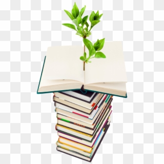 Photo Of Plant Growing From A Stack Of Books - International Energy Conservation Day, HD Png Download