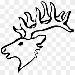 Simple Elk Head Drawing, HD Png Download