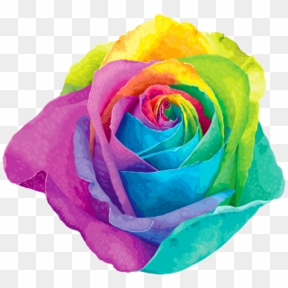 Multicolored Rainbow Rose Transparent Png Clip Art, Png Download