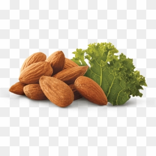 Almond And Kale - Leaf Vegetable, HD Png Download