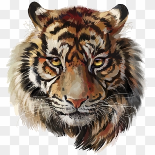 Download - Tiger Watercolor, HD Png Download