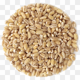 Small Pile Of Grain, HD Png Download