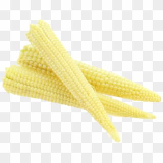 Fresh Baby Corn Png Image - Baby Corn Png, Transparent Png