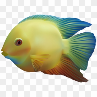 Collection Of With Gills High Quality - Colour Fish Png, Transparent Png