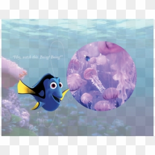 Dory6, HD Png Download