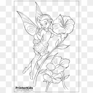 Disney Tinkerbell Coloring Pages - Dibujos Para Colorear Tinkerbell, HD Png Download