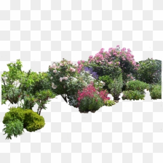 Garden Png PNG Transparent For Free Download - PngFind