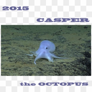 Casper The Octopus - Cute Octopus, HD Png Download