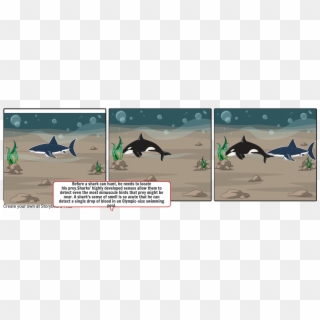Shark Eats Killer Whale - Cartoon Killer Whale Eating, HD Png Download
