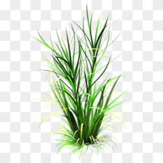 Tall Grass Texture Png - Cartoon Grass Texture Png, Transparent Png