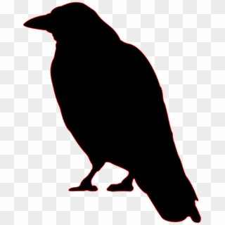 Crow Png, Transparent Png