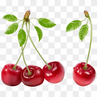 Cherries Png Picture - Cherries Png, Transparent Png