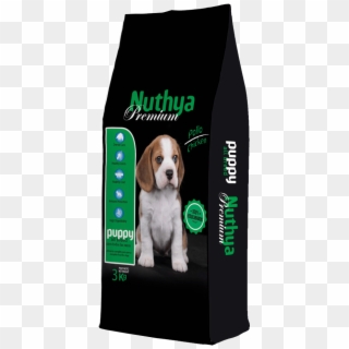 Nuthya Premium Puppy Nugape - Beagle, HD Png Download