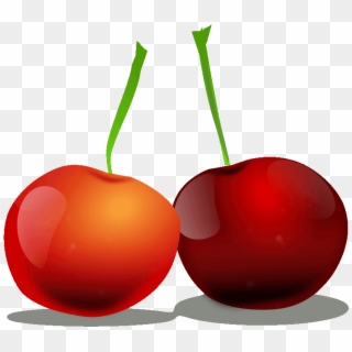 Prodigious Cherry Clipart Free Fruit Names A With Pictures - Cherry, HD Png Download