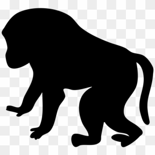Jpg Stock Monkey Clip Art Royalty Free Animal Images - Baboon Clipart, HD Png Download