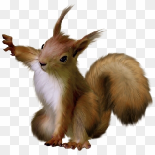 Free Png Painted Squirrel Png Images Transparent - Squirrel Transparent Png, Png Download