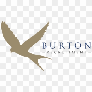 Burton Recruitment New - Bird In Flight Silhouette, HD Png Download