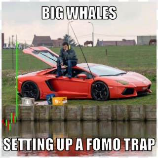 Meme Challenge No - Aventador Fishing, HD Png Download