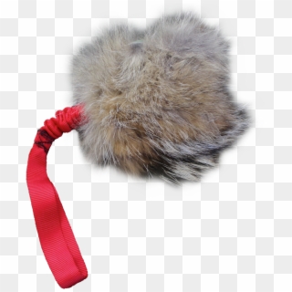 Transparent Png