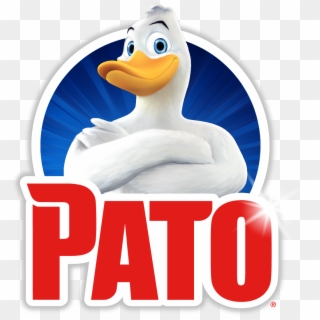 Pato Png , Png Download - Scj Duck Logo, Transparent Png