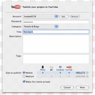 Next, You'll Want To Enter A Description And Any Relevant - Youtube Password, HD Png Download