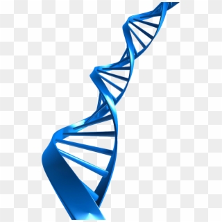 Dna Png Download - Png Dna No Background Blue, Transparent Png