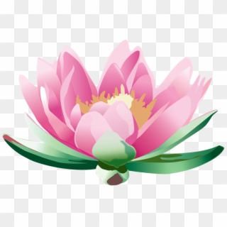 Flor De Loto Png - Lotus Flower Vistaprint, Transparent Png