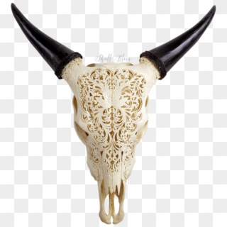 Cow Skull Png - Cow Skull, Transparent Png