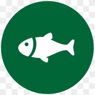 Fishing-icons - Fish Sign, HD Png Download