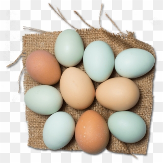 Colored Egg Layer Icon - Egg, HD Png Download