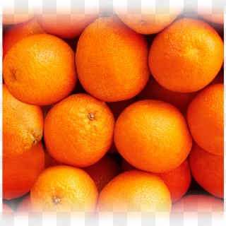 Orange-vibe - Blood Orange, HD Png Download