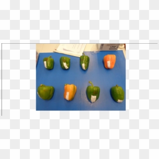 Unpackaged Green Bell Peppers Stored At 10ºc During - Green Bell Pepper, HD Png Download