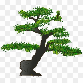 Bonsai, Tree, Leaves, Plant, Nature - Karate Kid Bonsai Tree Logo, HD Png Download