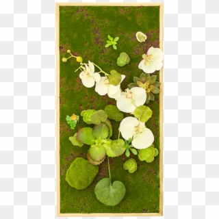 Simulation Plant Wall Decoration Wall Green Plant Wall - Artificial Flower, HD Png Download