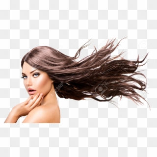 Svg Free Blowing In Wind Hairstyles Women Reference - Model With Hair Blowing, HD Png Download