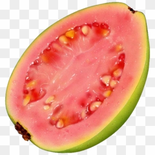 Guava Png - Guava Fruit Illustrations, Transparent Png