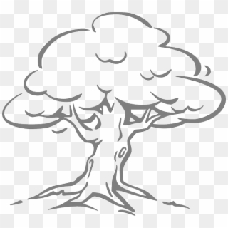 Need A Good Slogan On Saving Trees For Children - Black And White Tree Clipart Png, Transparent Png