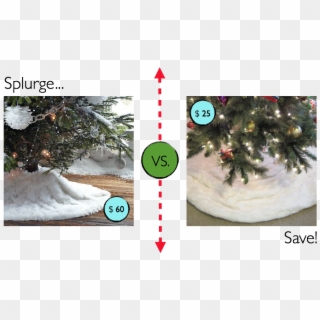 Especially With A Pretty White Faux Fur That Will Make - Christmas Tree, HD Png Download