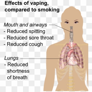 Essay About Cause And Effect Of Smoking Term Paper - Vape Pen Type Smoke, HD Png Download