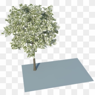I Have Problem With Leaves Using Trees From Skatter - Plane, HD Png Download