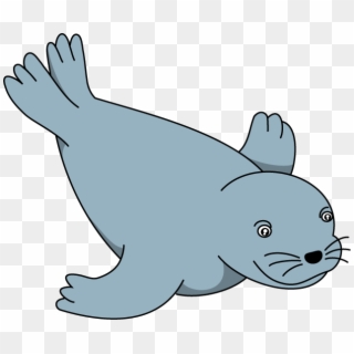 Clipart Info - Seal Clipart, HD Png Download