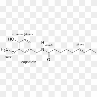 As We Progress In Our Study Of Organic Chemistry, It - Ethinylestradiol, HD Png Download