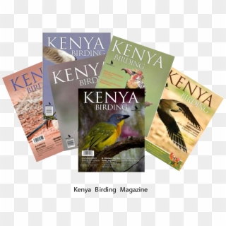 Kenya Birding Magazine - Painted Bunting, HD Png Download
